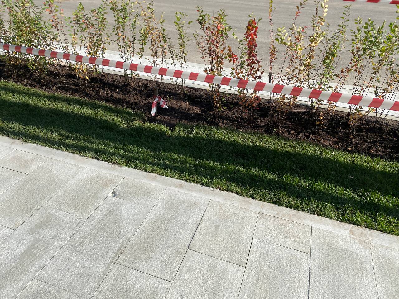 https://novocherkassk.blago-s.ru/storage/app/uploads/public/68b/fb1/6c6/68bfb16c6680d958739657.jpeg