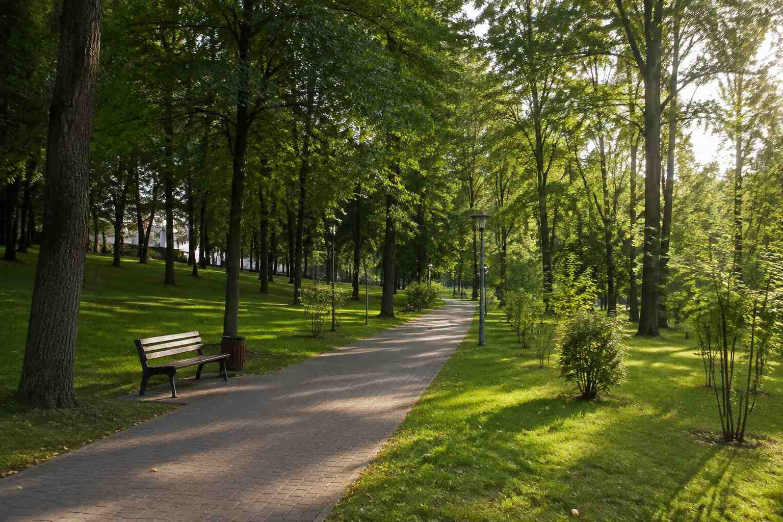 https://novocherkassk.blago-s.ru/storage/app/uploads/public/6a7/eef/ed2/6a7eefed2af22038960370.jpg