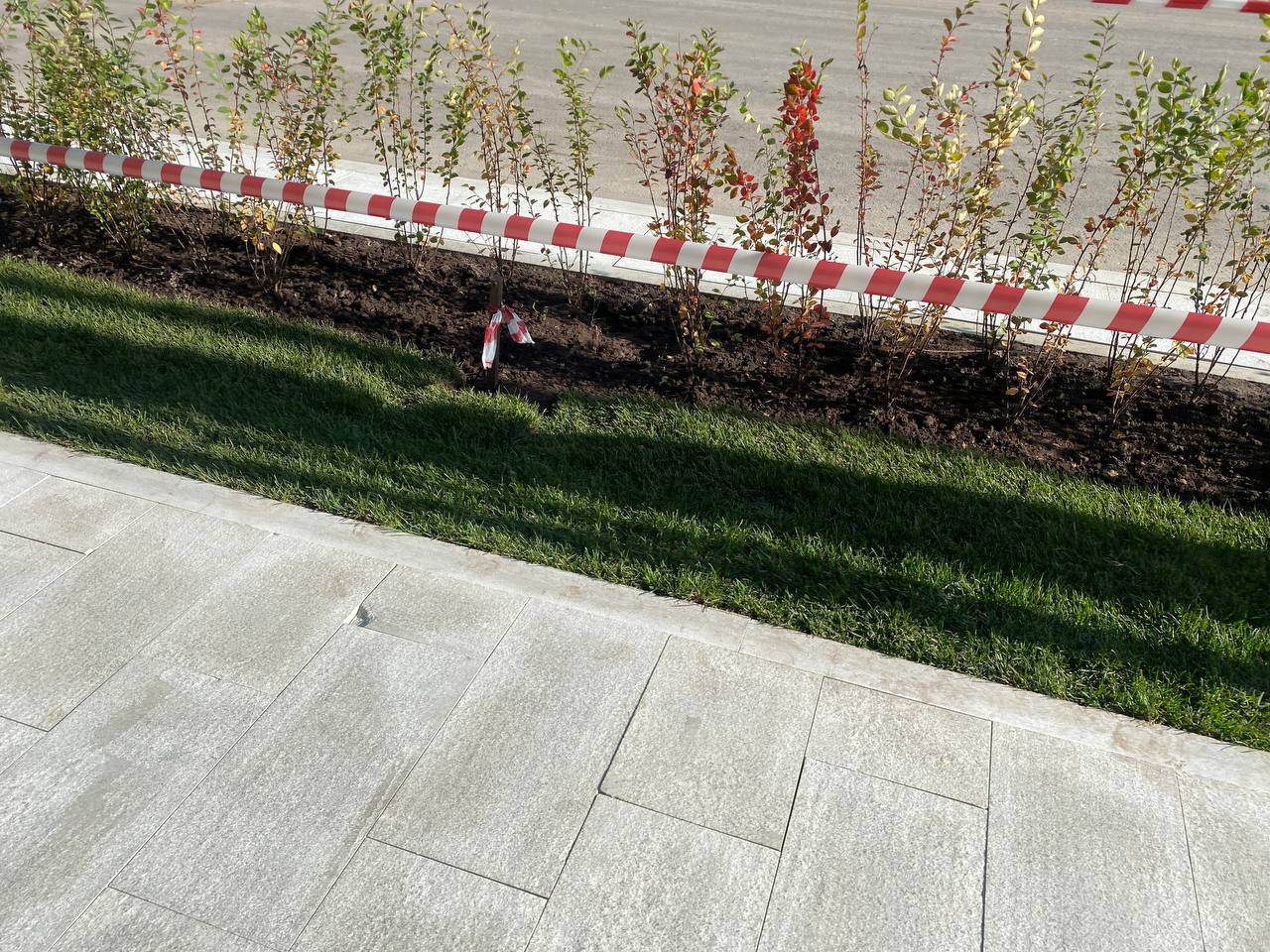 https://novocherkassk.blago-s.ru/storage/app/uploads/public/670/e06/820/670e06820d5c2175931920.jpeg